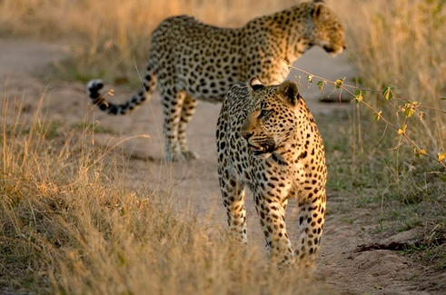 Highlights of South Africa