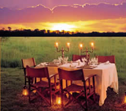 Honeymoon South Africa