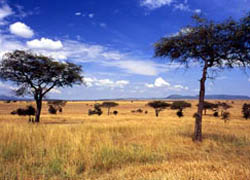 Classic Tanzania 4 x 4