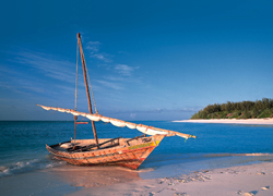 Tanzania Honeymoon Selous - Zanzibar