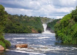 Special Interest Tours 3 - The ultimate Uganda Safari