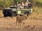Kenyan Safari Escapes - 
Discover the Masai Mara