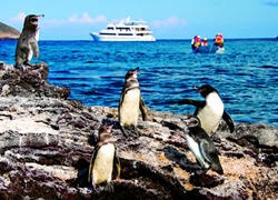 Christmas in Ecuador & Galapagos 2012 - 5 days