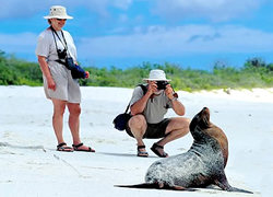 Christmas in Galapagos 2012 -- 8 days