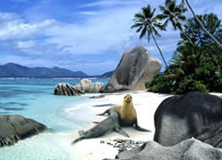 New Year in Galapagos 2012