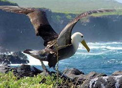 New Year in Ecuador & Galapagos 2012 - 4 days