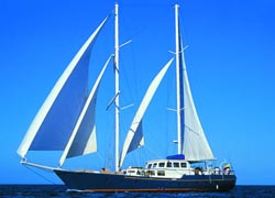 Beagle Yacht