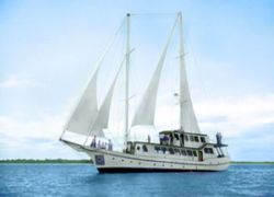Cachalote Yacht