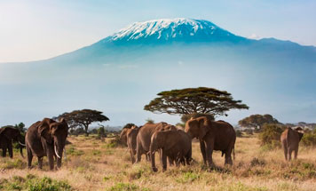 2024 Luxury Tanzania Explorer Tour