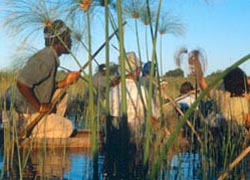 Botswana Premium Safari Tour