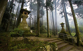 Japan - Explore the land of the rising sun
