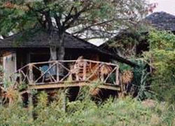 Nile Safari Camp