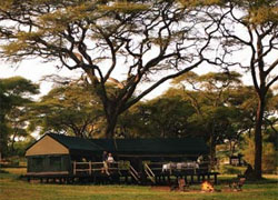 Swala Camp