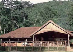 Gorilla Forest Camp
