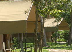 Ishasha Camp