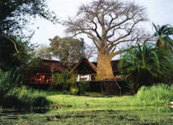 Ntwala Island Lodge Ntwala Island Lodge