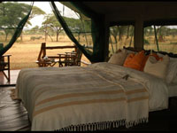 Swala Camp