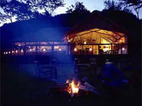 Gorilla Forest Camp