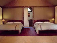 Gorilla Forest Camp