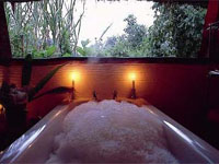 Gorilla Forest Camp