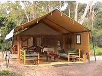 Ishasha Camp