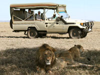 Kusini Permanent Tented Camp
