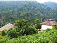 Lake Mburo Tented Camp
