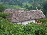 Lake Mburo Tented Camp