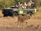 Tour in Kenya