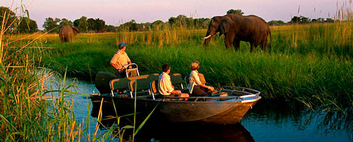 Botswana Premium Safari Tour