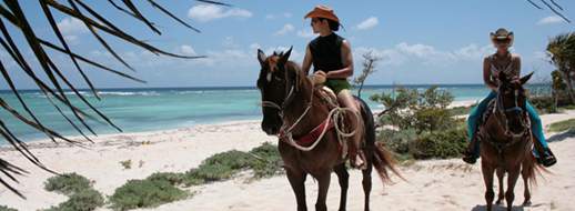 HORSEBACK RIDING TOURS