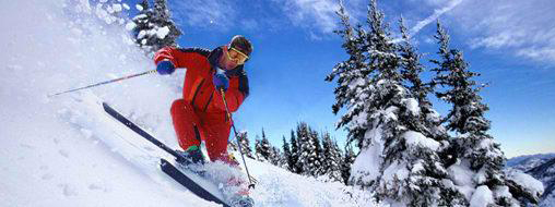 SKI TOURS & TRAVEL