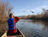 birdwatching and ornithology travel