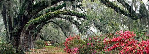 WHEELCHAIR TRAVEL/MOBILITY IMPAIRMENT TOURS