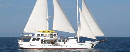 Cachalote Yacht