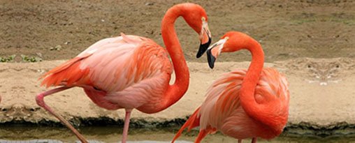 Christmas and New Year in Ecuador & Galapagos 2025
