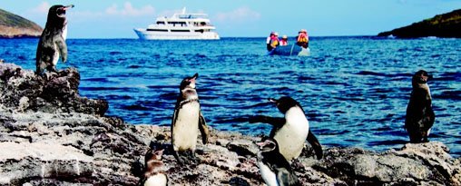 Christmas in Ecuador & Galapagos 2025 - 5 days