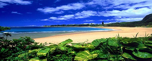Christmas in Ecuador & Galapagos 2025 -- 5 days
