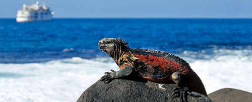 New Year in Ecuador & Galapagos 2026 - 10 days