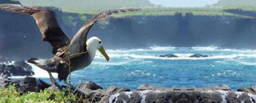 New Year in Ecuador & Galapagos 2025 - 9 days
