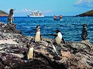 Christmas in Ecuador & Galapagos 2024 - 5 days