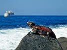 New Year in Ecuador & Galapagos 2024 - 10 days