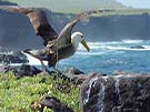 New Year in Ecuador & Galapagos 2024 - 9 days