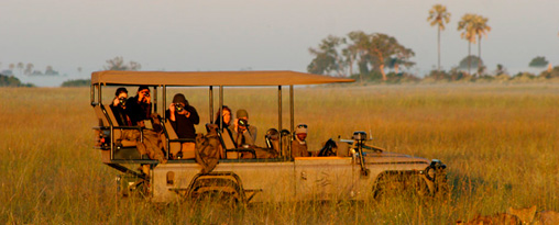 Kenyan Safari Escapes - 
Discover the Masai Mara