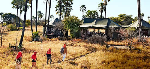 Kubu Quad Bike Expedition out of Jack's Camp - Botswana Safari