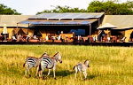 Singita