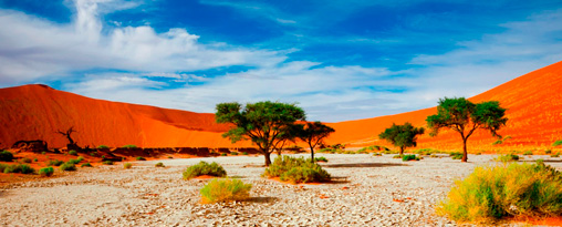 10 day First Class Namibia Road Safari Tour