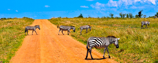 14 day Luxury Namibia Road Safari Tour