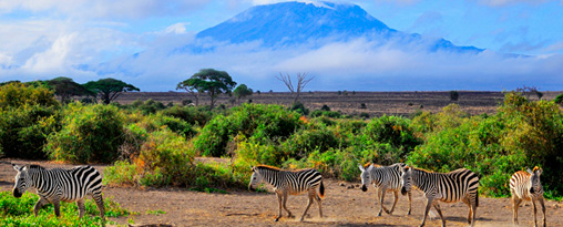 Classic Tanzania 4 x 4