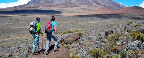 MOUNT KILIMANJARO  Machame route